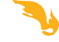 GRILLWOOD  - 